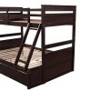 Bright Designs  Espresso Twin over Full Wood Bunk Bed with 2-Drawers - Image 9
