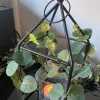 Christmas Candle Lantern Artificial Eucalyptus Foliage Ornament Home Decor Decorative Decoration Gift Housewarming Valentines - Image 4